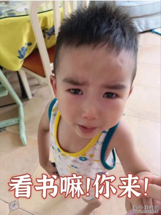 小达人点读笔